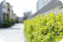 近所で気になることがある